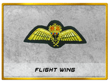 FLIGHT WING.png